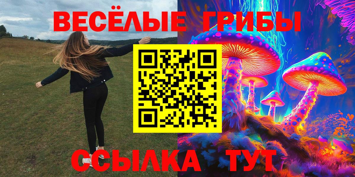 Галлюциногенные грибы ЛСД  что такое   Новороссийск  Вход с VPN  Псилоцибиновые грибы Psilocybine cubensis 